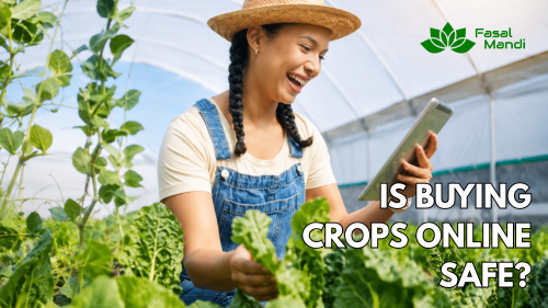 Is Buying Crops Online Safe? | FasalMandi