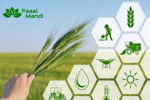 Buy Crops Directly from Farmers