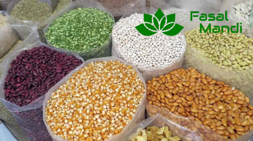 From Seeds to Market