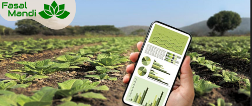 Find Crop Buyers Near Me