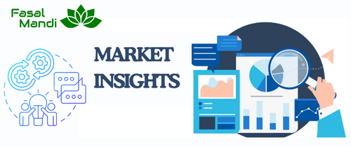 Maximizing Profits with Insights